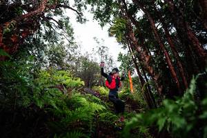 BIB: 
                            <button type="button" onclick="openModal(26203317)" class="btn btn-primary btn-sm float-right btn-popup" data-toggle="modal" data-target=".modal-high-quality">
                        <i class="fas fa-shopping-cart"></i> Add to Cart
                    </button>
                                            <button type="button" onclick="isThisMe(26203317, true)" class="btn btn-success btn-sm float-right btn-popup btn-isme hidden" data-toggle="tooltip" data-placement="bottom" title="นี่คือรูปของคุณใช่ไหม คลิกที่นี่เพื่อเอาเข้าอัลบั้ม">
                        <i class="fas fa-plus"></i> Add to album
                    </button>
                    <button type="button" onclick="isThisMe(26203317, false)" class="btn btn-warning btn-sm float-right btn-popup btn-isnotme hidden">
                        <i class="fas fa-ban"></i> Remove from album
                    </button>